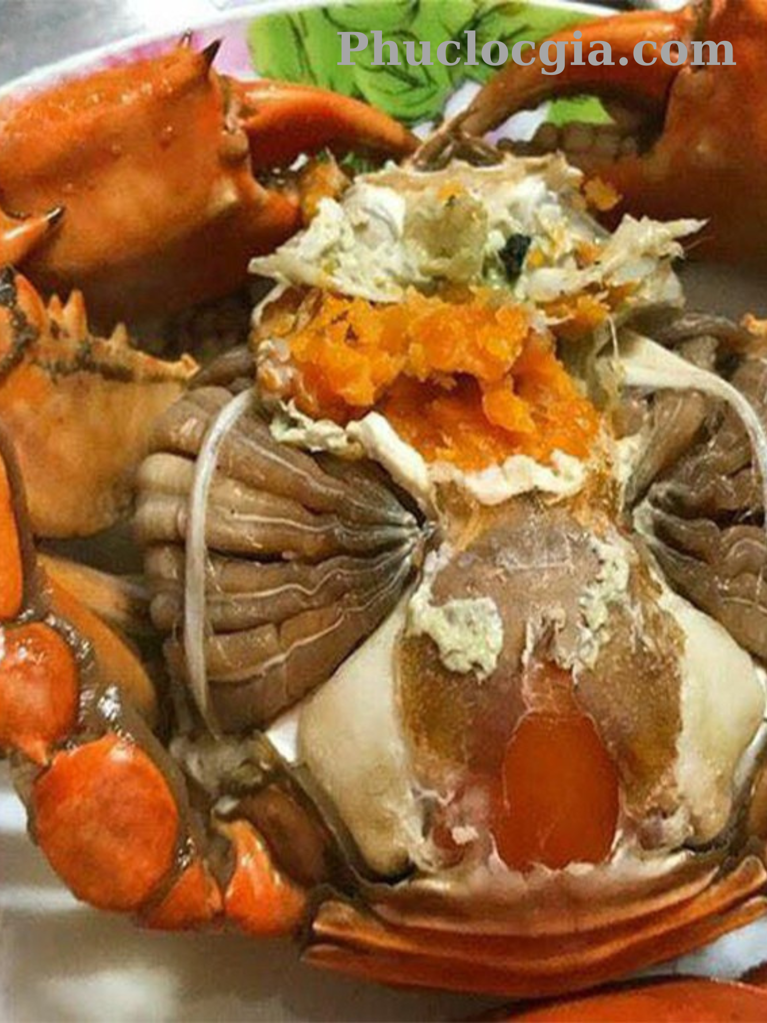 Cua biển Bình Đại _ Phuclocgia.com