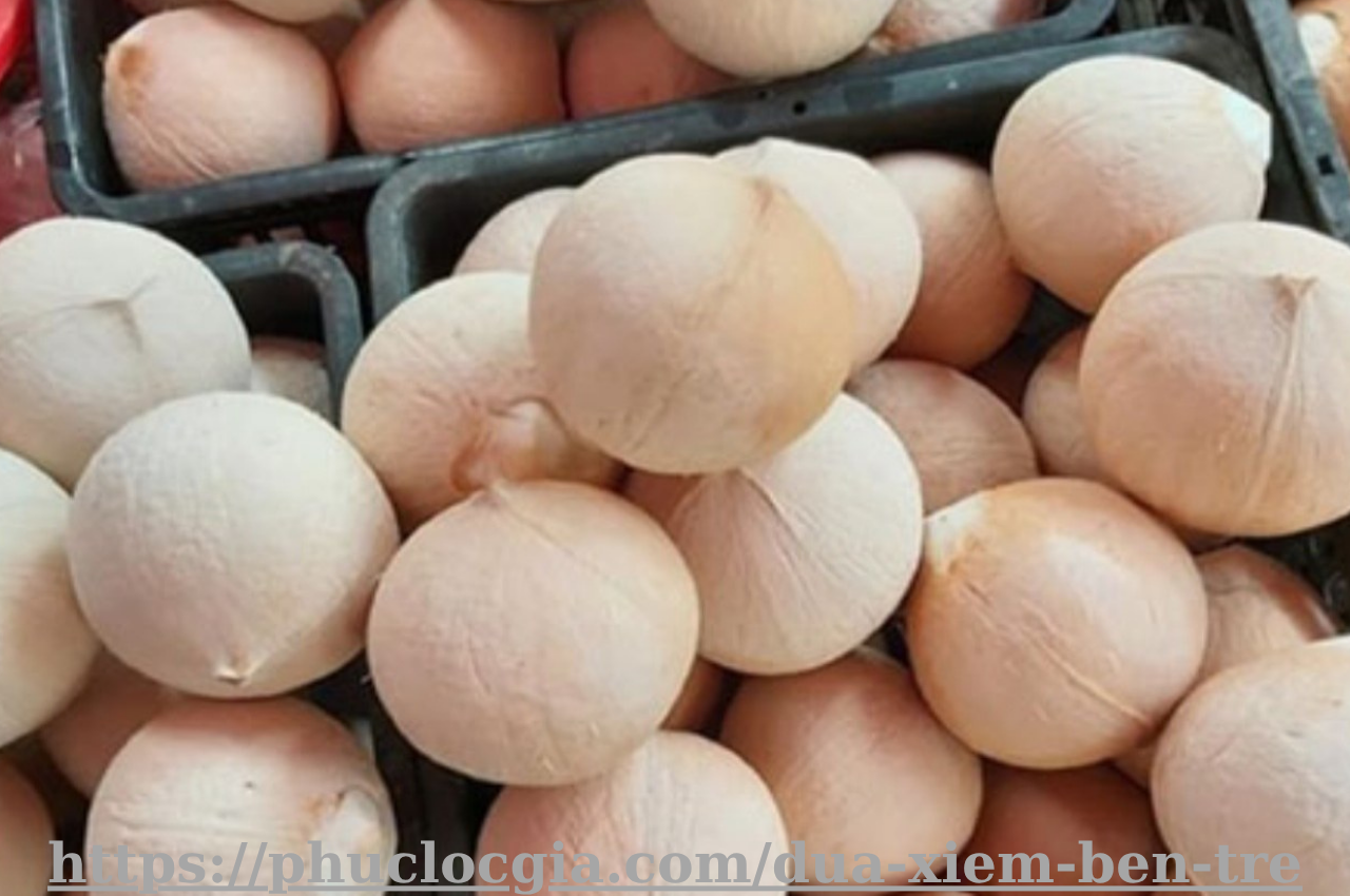 Dừa Xiêm Bến Tre Dừa Xiêm Bến Tre